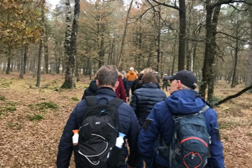 wandelen door het herfstbos